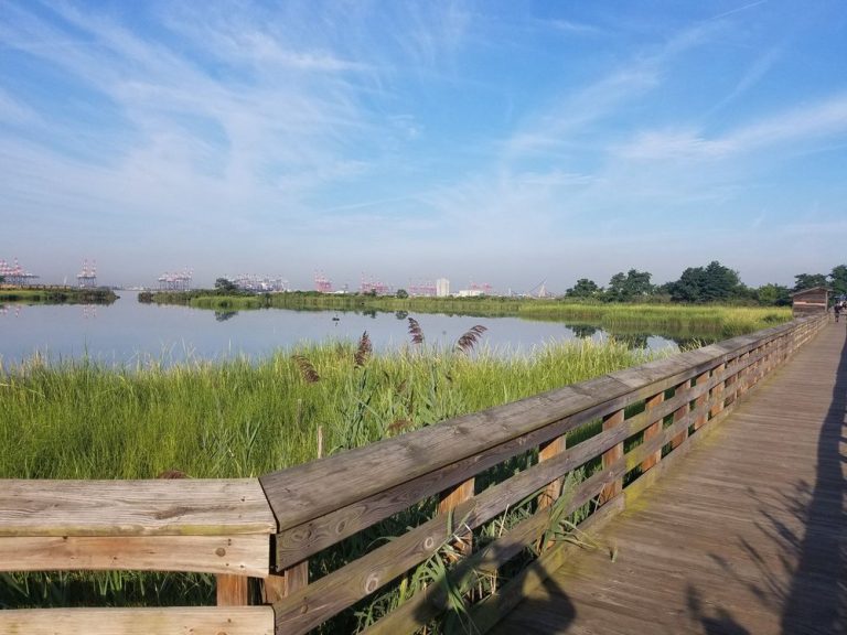 Rutkowski Park