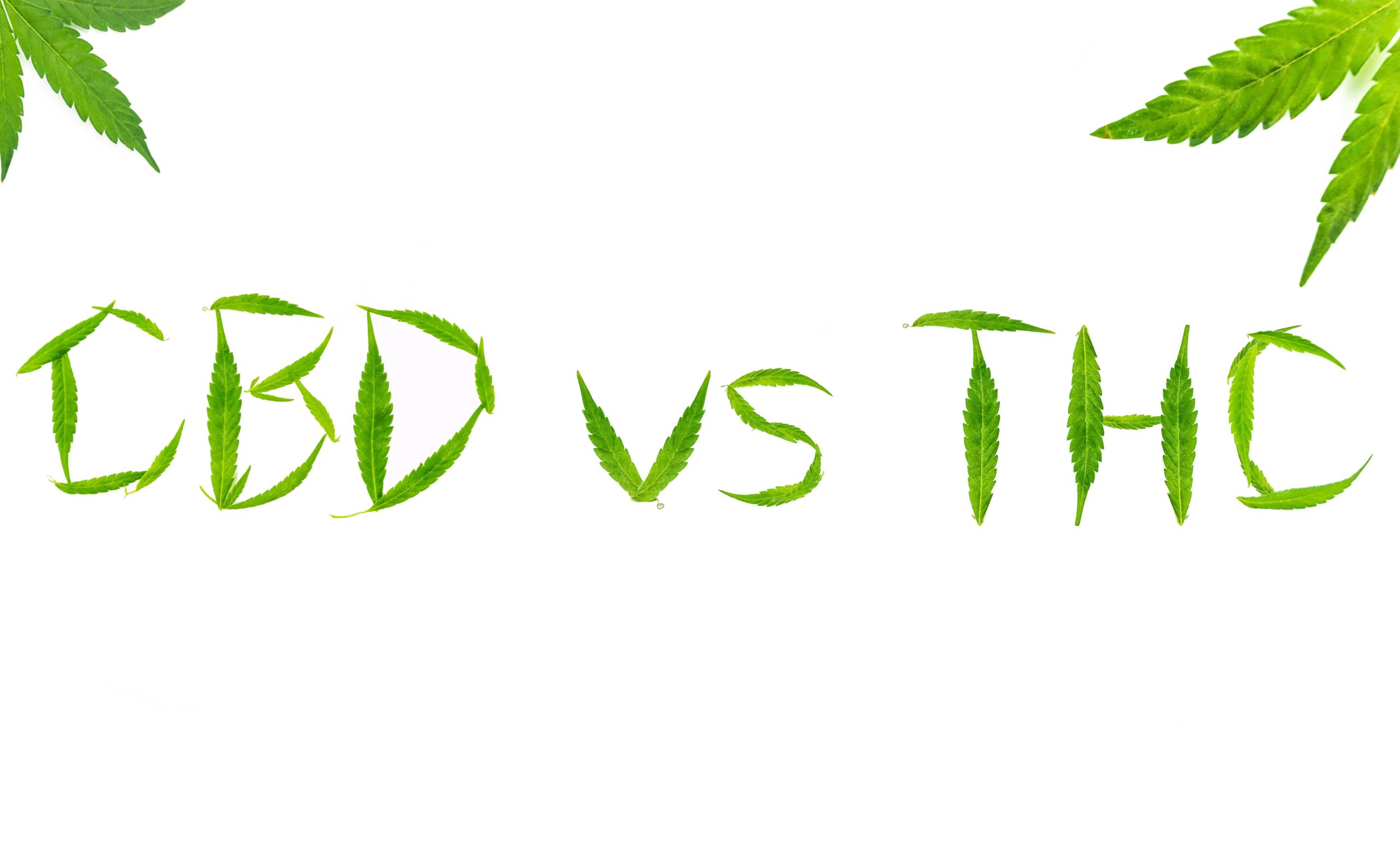 CBD Vs THC