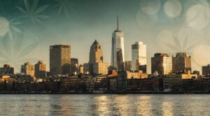 Jersey City's Top Cannabis Picks