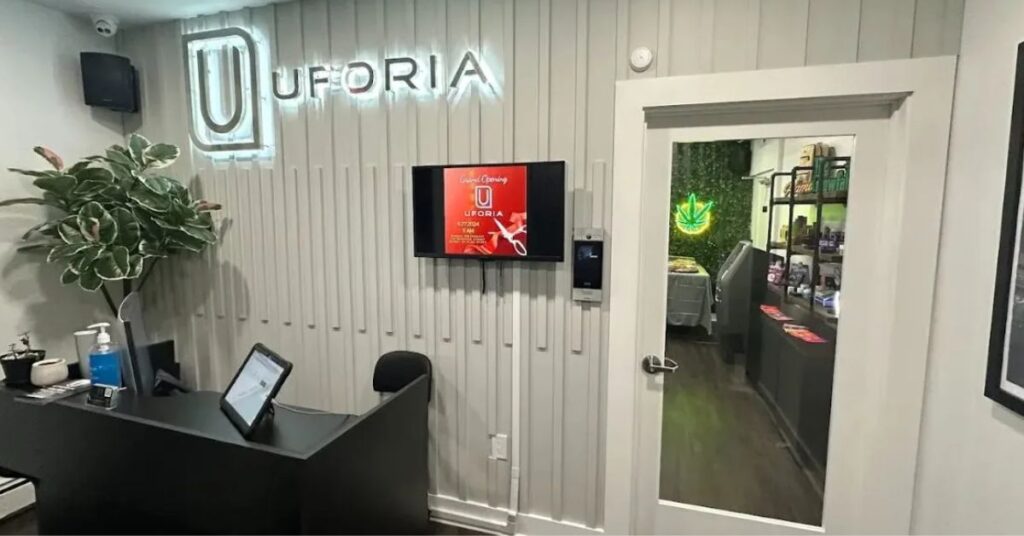 Cannabis Dispensary Jersey City