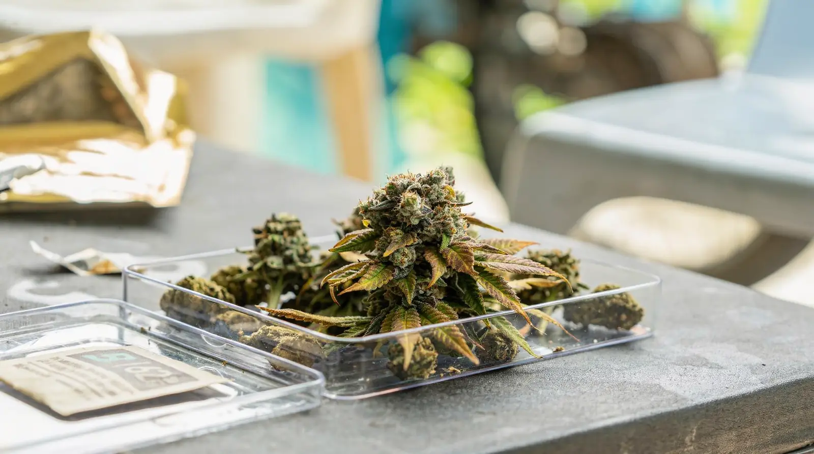 Uforia Dispensary is located in Jersey City's Heights neighborhood near Central Ave and Palisade Ave