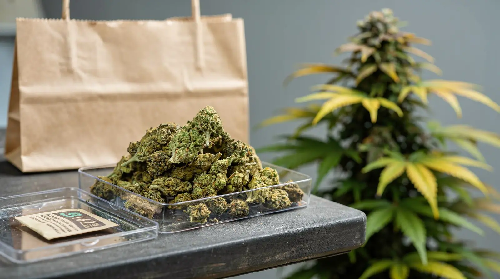 Uforia operates as a licensed NJ dispensary offering compliant delivery across Jersey City and surrounding