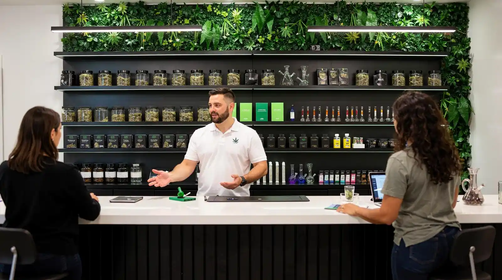 Product format determines potency experience more than any other single factor. Flower, pre-rolls, concentrates
