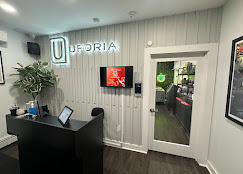 Modern reception area with a dark counter and a green plant